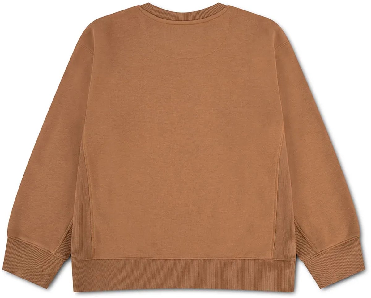 Levi´s ® Kids Vintage Collegiate Sweatshirt Bruin 10 Years Jongen