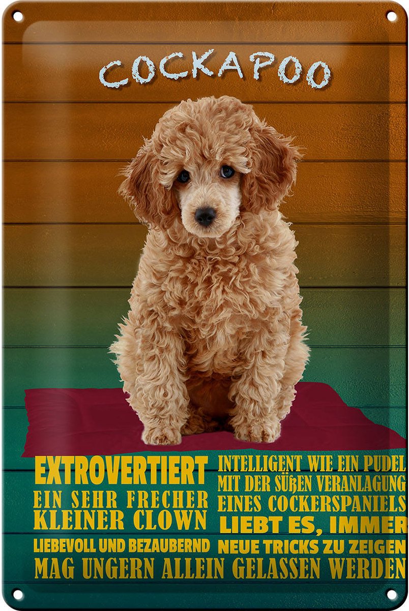 Blechschild Spruch 20x30cm Cockapoo Hund kleiner Clown