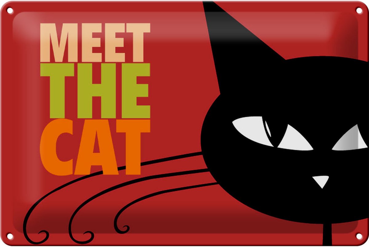 Blechschild Spruch 30x20cm Katze Meet the cat