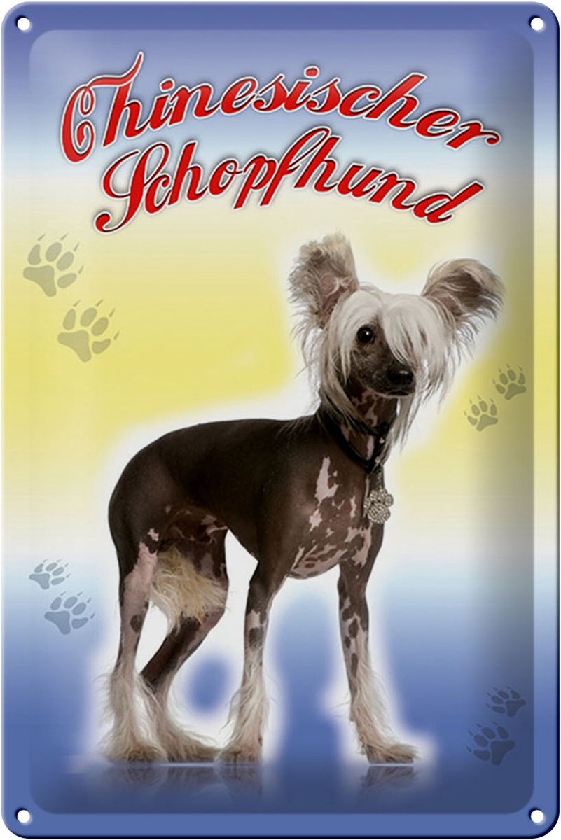 Blechschild Hund 20x30cm Chinesischer Schopfhund