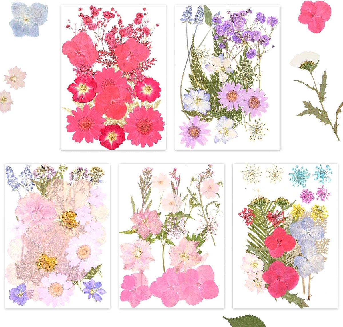 Gedroogde Geperste Bloemen voor Hars, 5 Tassen met 100 Bloemen, Perfect voor Nail Art en DIY Sieradenontwerp