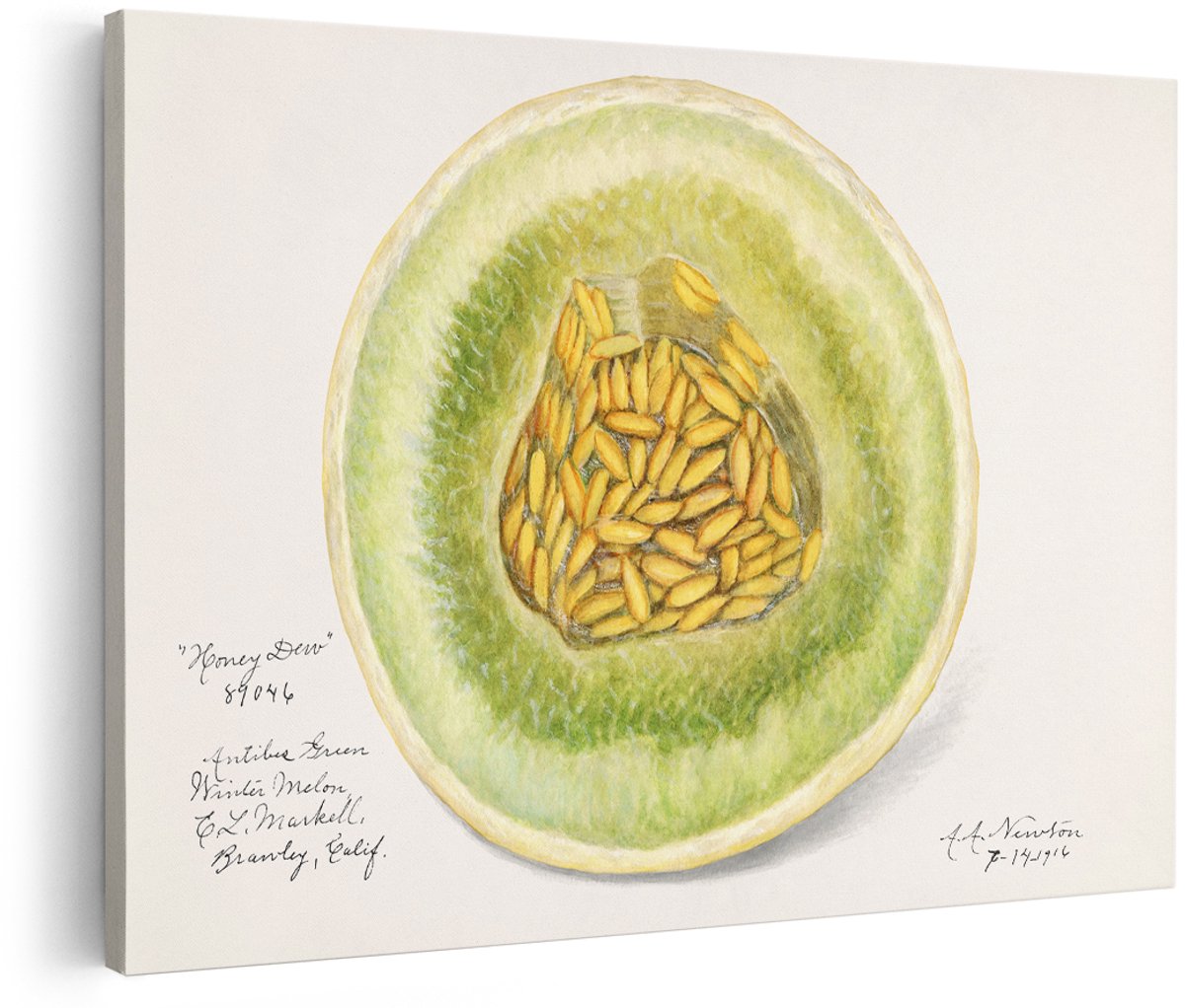 Artaza Canvas Schilderij Honingmeloen - 180x120 cm - Groot - Wanddecoratie Keuken - Muurdecoratie Fruit - Vintage Schilderij Groen