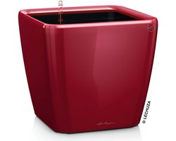 LECHUZA QUADRO Premium LS 21 - Plantenbak - met uitneembare binnenbak - met bewateringssysteem - ALL-IN-ONE set met LECHUZA-PON - scharlakenrood hoogglans