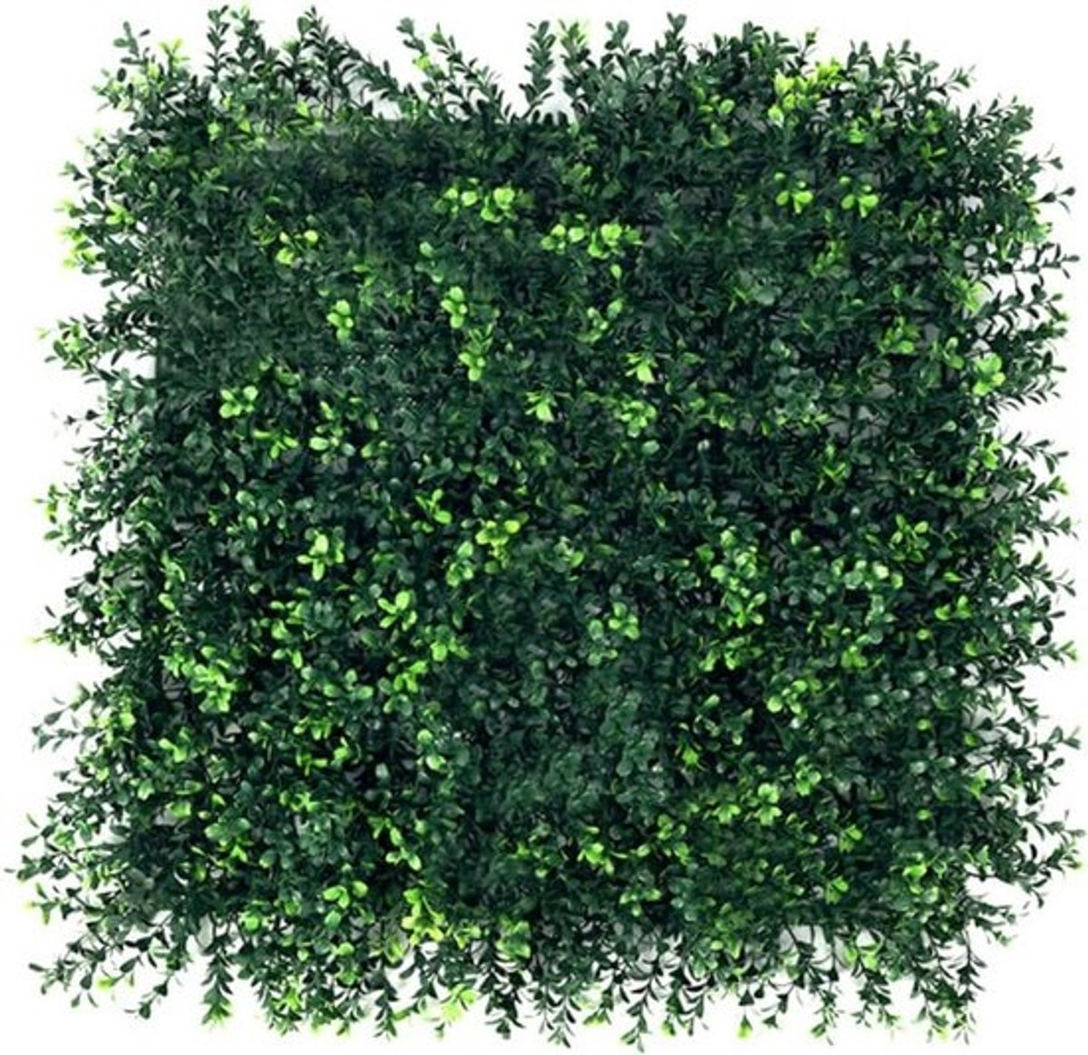 Kunstmatig Hegeset 4 Panelen 50x50 cm - Groene Wanddecoratie - Kunstmatige Klimop - Privacy Screen - Binnen en Buiten