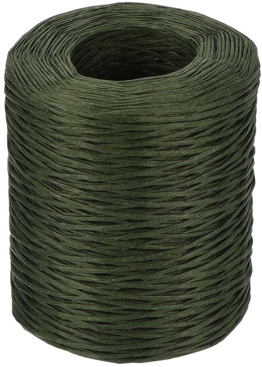 PATIKIL 656 voet draad gecoat papier voor het wikkelen van bloemen, 2 mm ijzerdraad voor bloemisten, binddraad, wijnstokken gecoat papier voor boeketten, groen