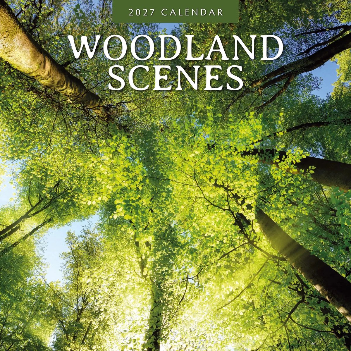 Woodland Scenes Kalender 2027