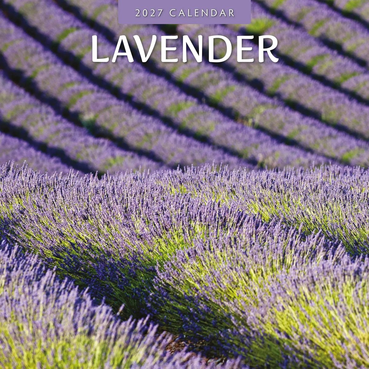 Lavendel Kalender 2027