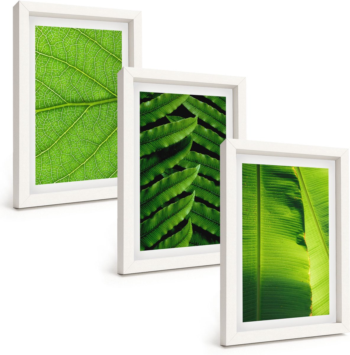 Wallfluent 3-Delige Schilderij Set - Close-Ups Van Tropische Bladeren - 20 x 30 - Stijlvolle Wanddecoratie - Interieur - Moderne Wanddecoratie