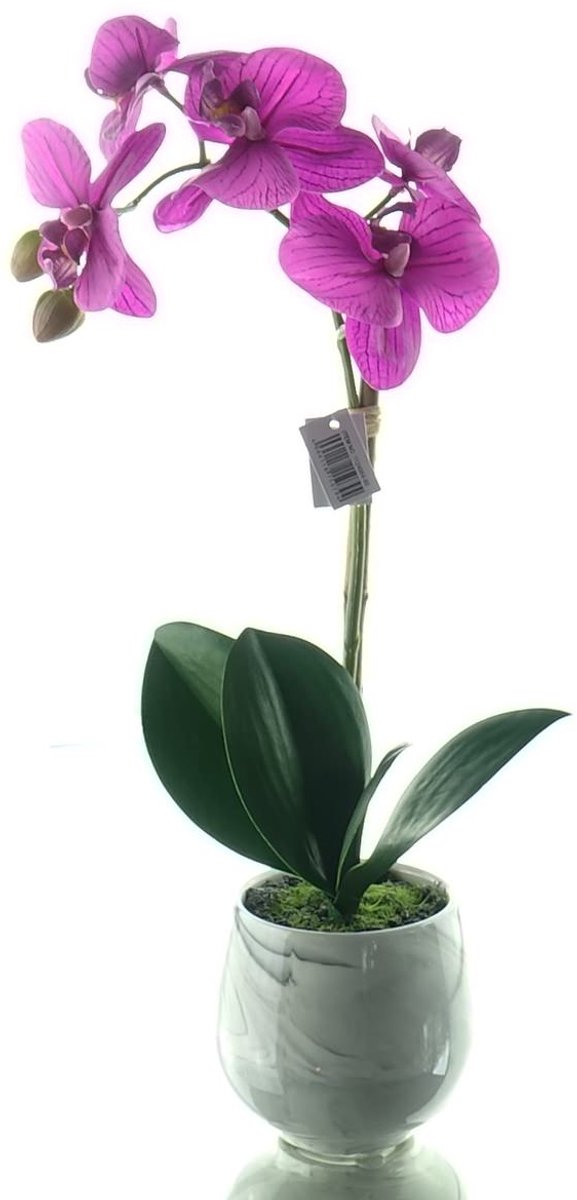 Gasper Vlinderorchidee Lila Keramiekpot 36 cm - Kunstbloemen