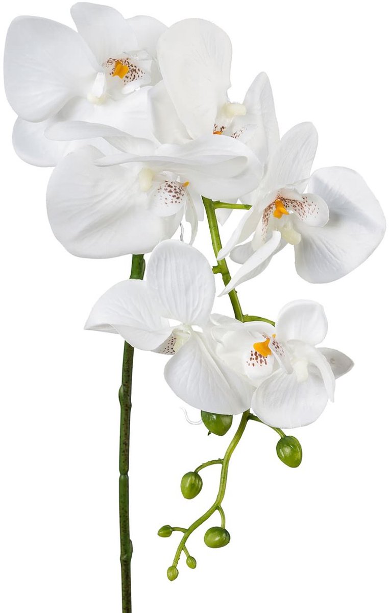 Gasper Phalaenopsis Vlinderorchidee Wit 86 cm - Kunstbloemen