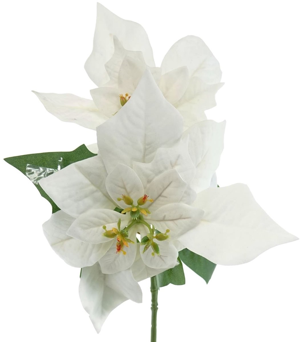 Gasper kerstster - poinsettia wit met 2 schutbladen 32 cm