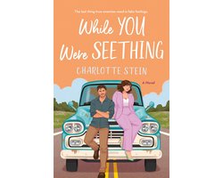 While You Were Seething