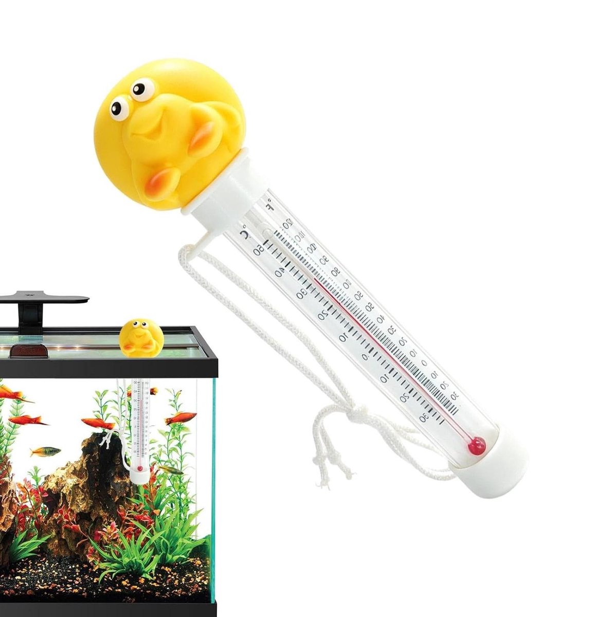 Drijvende Zwembad Thermometer - Watertemperatuur Meter - Water Temperatuur Monitoren - Cartoon Drijvend Ontwerp - 19 Centimeters - Schelp