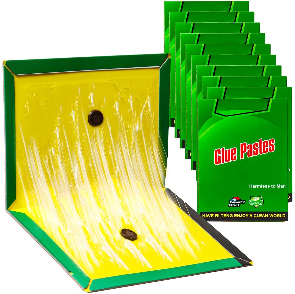 Dailygoods- Kakkerlakkenval 10 Stuks - 31,5 cm x 21 cm - Ongediertebestrijding - Bedwantsen/Zilvervisjes - Vouwmethoden - Binnen/Buiten Gebruik - Continue Effectiviteit