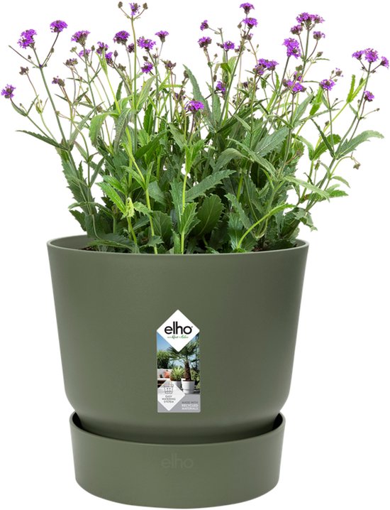 Elho plantenbak, olijfgroen, met paarse bloemen en bijpassende schotel.