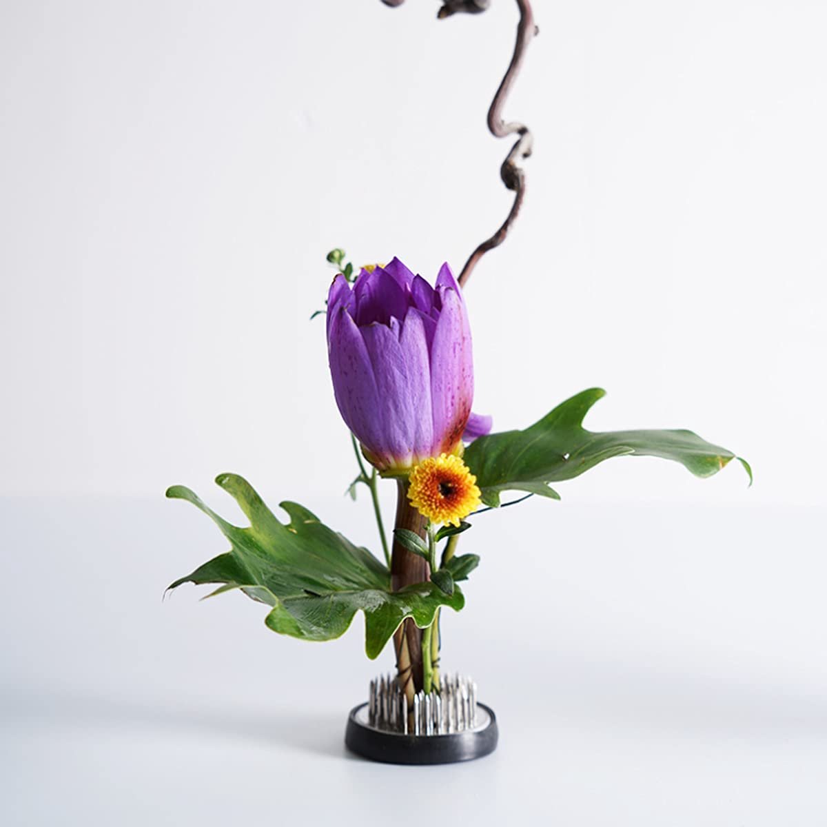 Dailygoods - Ikebana Kenzan - 4 Stuks Ronde Bloemenhouder
