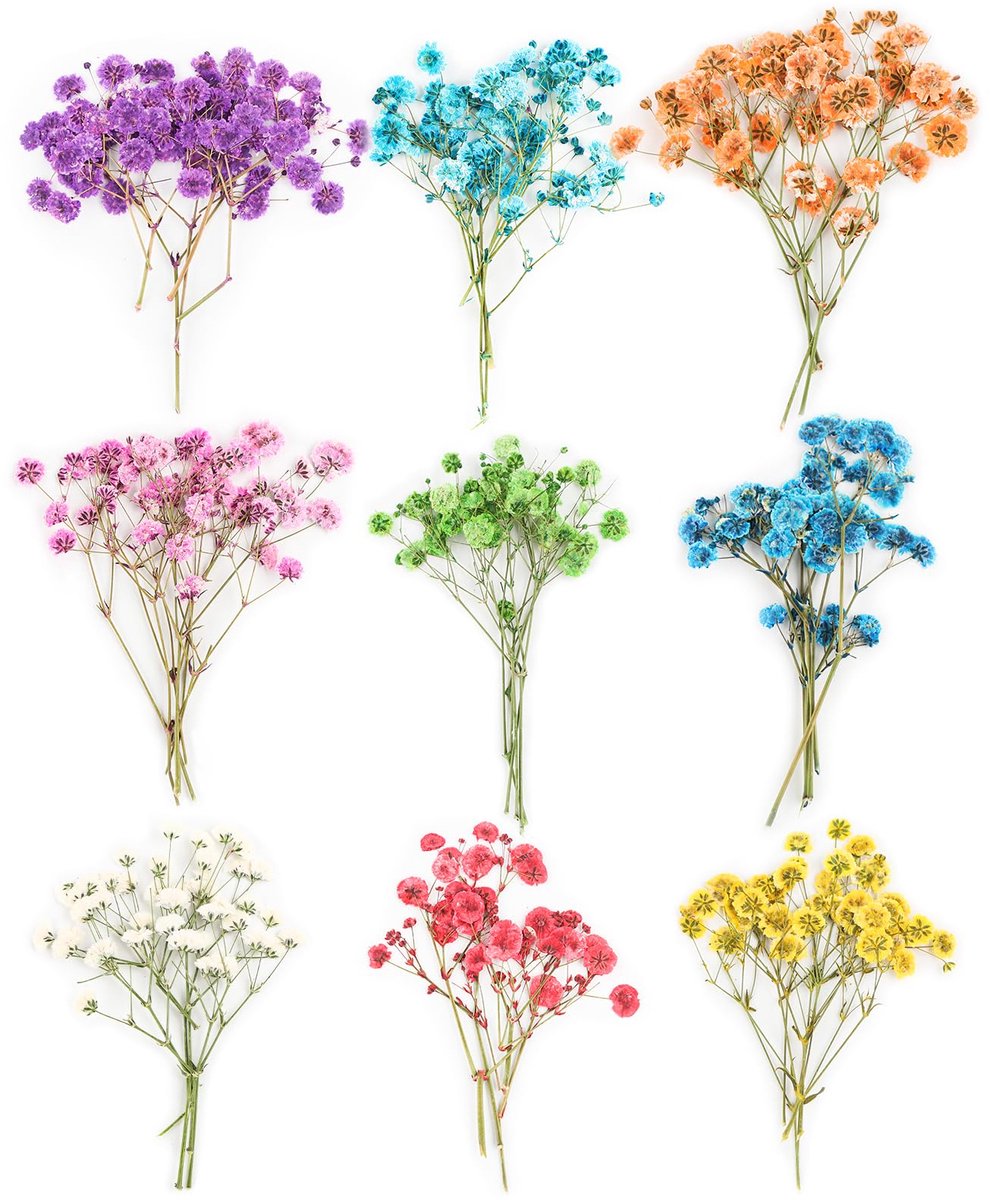Dailygoods - Gedroogde Bloemen - Baby's Adem in Wit & Lichtroze voor Decoratie en Knutselen