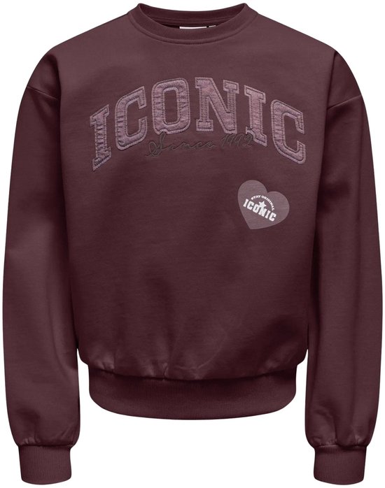 Maronbruine sweater met lange mouwen en ronde hals, met 'ICONIC' tekstprint op de voorkant.