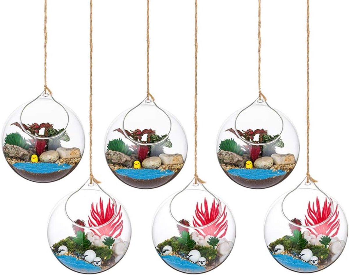 Opknoping Glazen Globes Terrarium Vetplanten Orbs 6 Stks Glazen Planter Grote Opening Lucht Varen Planten Vaas Hanger - ShopVlot