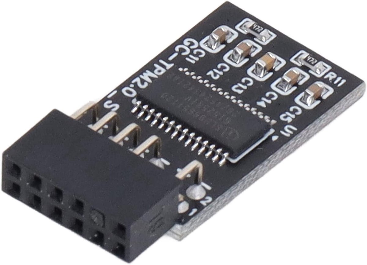 SnelShoppen - TPM 2.0 LPC SPI 12-Pin Externe Kaart Cryptografie, Beveiligingsplaat Accessoires, Veilige Cryptografische Processor voor Windows en Giga