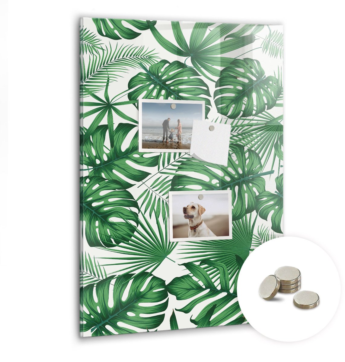 Coloray Glazen Magneetbord - Magnetisch Bord Exotische bladeren - 40x60 cm - Groente Magneetbord - Magnetic Board - Magneetbord Design