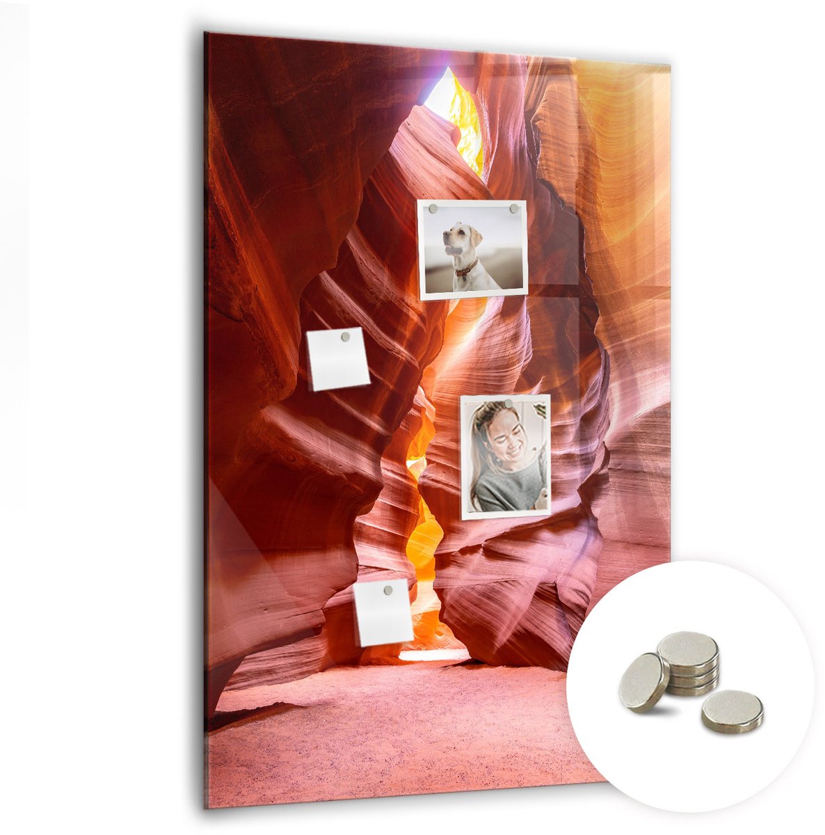 Coloray Glazen Magneetbord - Magnetisch Bord Boomstronken - 70x100 cm - Rood Magneetbord - Magnetic Board - Woonkamer Decoratie