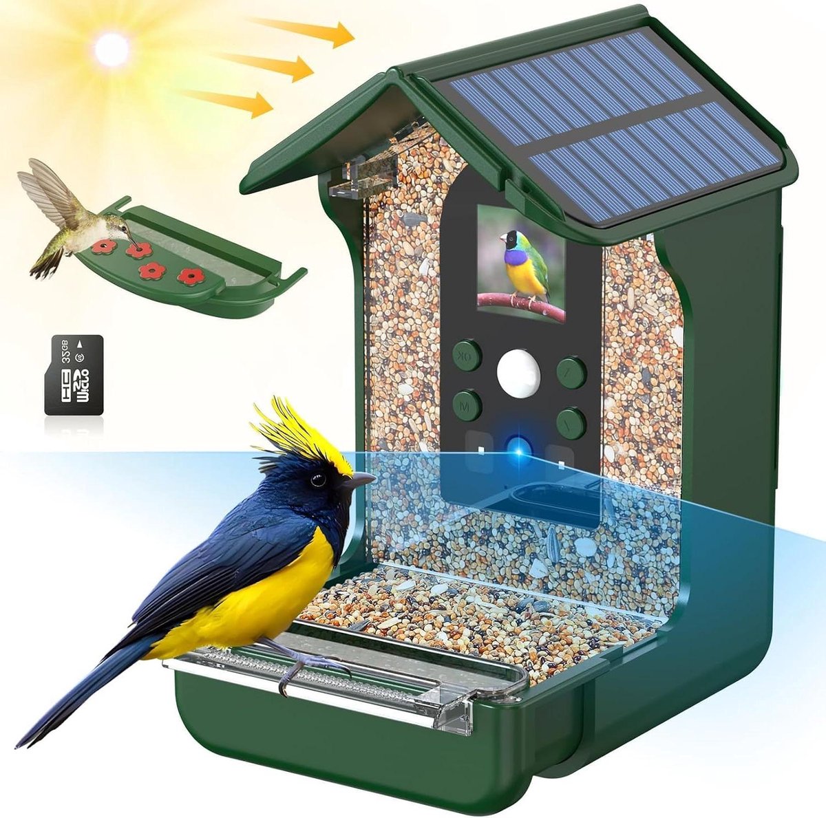 Vogelhuis Camera - Vogelvoederhuisje Met Camera - Vogels Observeren - Zonne-energie Aangedreven - 1080p HD - Groen