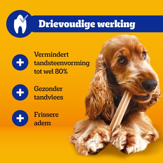 Cocker Spaniël kauwt op een Dentastix. "Drievoudige werking": vermindert tandsteen, gezonder tandvlees, frissere adem.