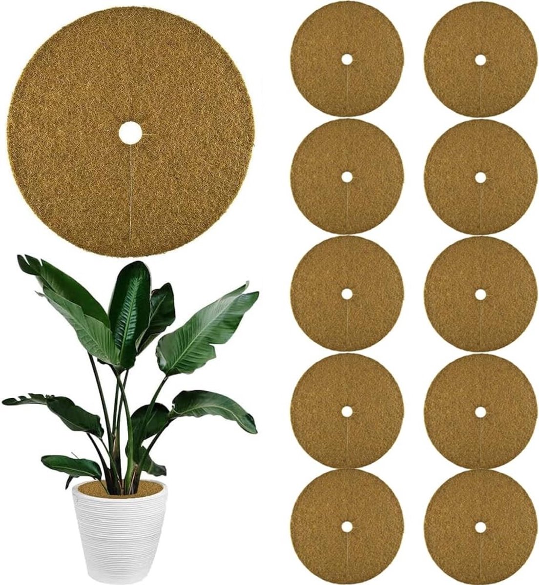 6 Stuks Kokosnoot Mulch Schijven voor Planten, Bodembedekking, Winterbescherming en Tuinonderhoud
