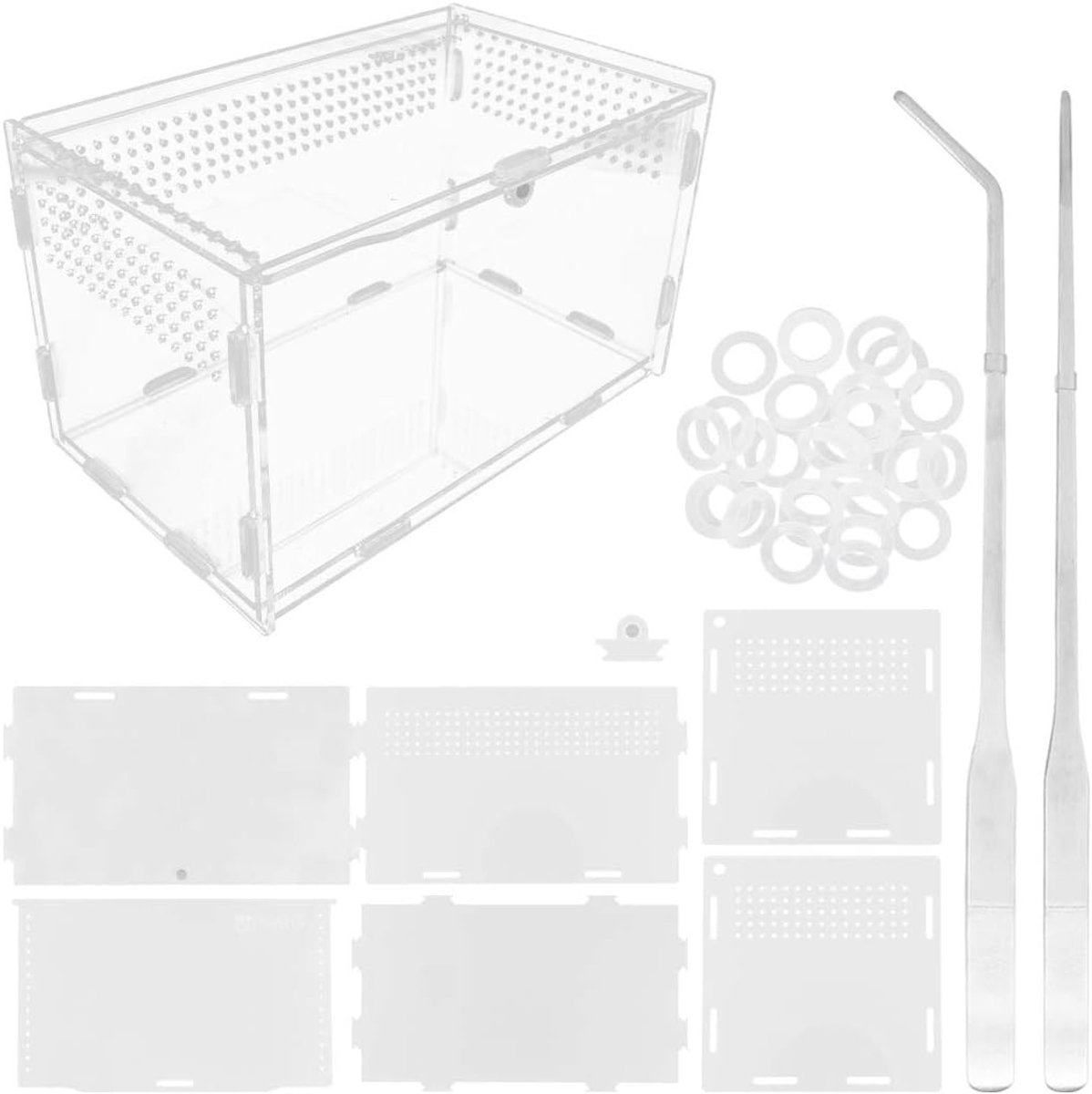 Transparante Voederbox voor Reptielen - Kweekbox Terrarium met 2 Pcs Rechte en Gebogen Pincetten voor Insecten, Spinnen, Krekels en Hagedissen (Groot 20x12x12cm)