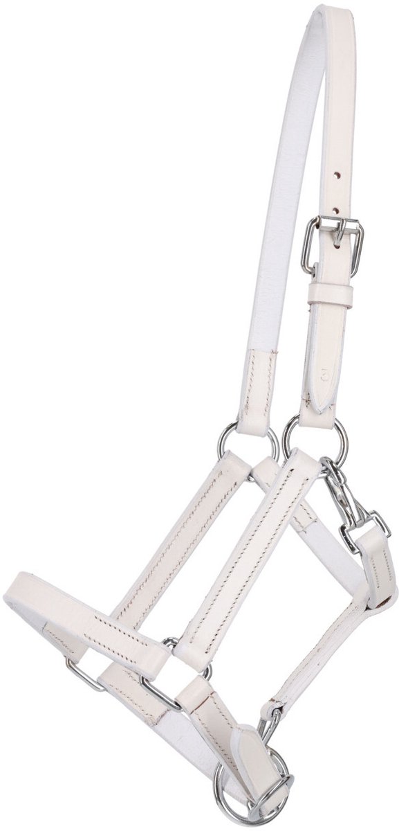 QHP LEDEREN VEULENHALSTER MET CLIP Wit