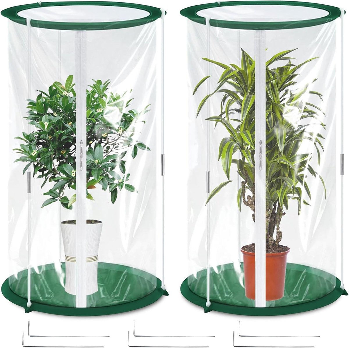 Set van 2 Mini Kassen 50 x 30 cm Wintertent voor Planten, Ideaal voor Groenten, Bloemen en Paddenstoelen, Transparante Folie Kassen, Compacte Opvouwbare Kassen