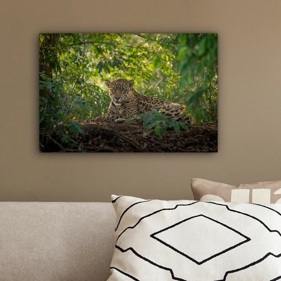 Jaguar liggend in de jungle, omringd door weelderige groene bladeren.