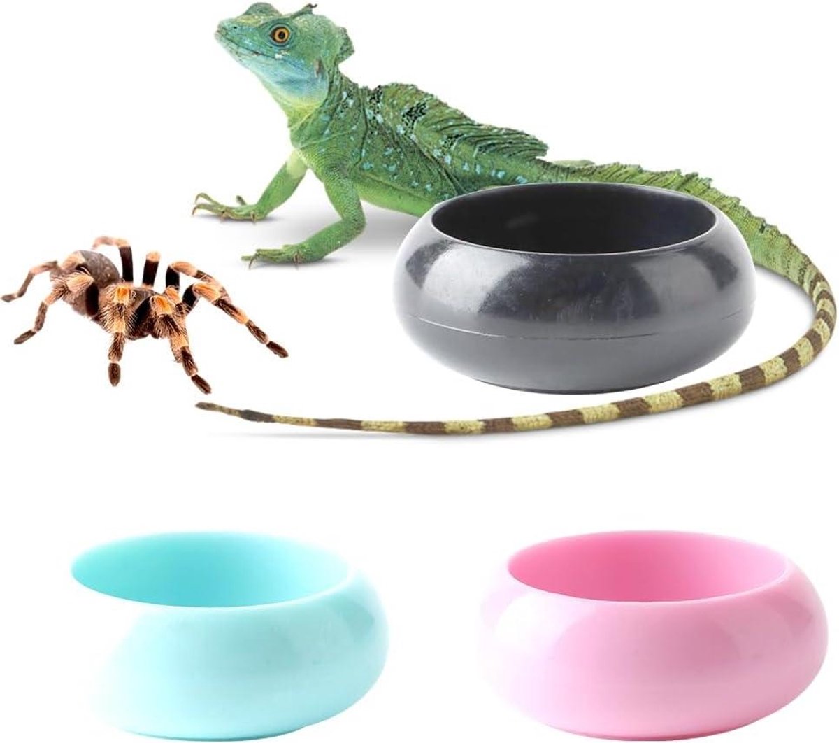 Reptielen Voederbakjes - Voerbak Slang Hagedis - Voeren en Water Geven - Gladde Randen Stabiele Bodem - 5 cm Diameter