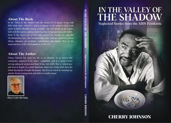 IN THE VALLEY OF THE SHADOW Neglected Stories from the AIDS  ... - cover