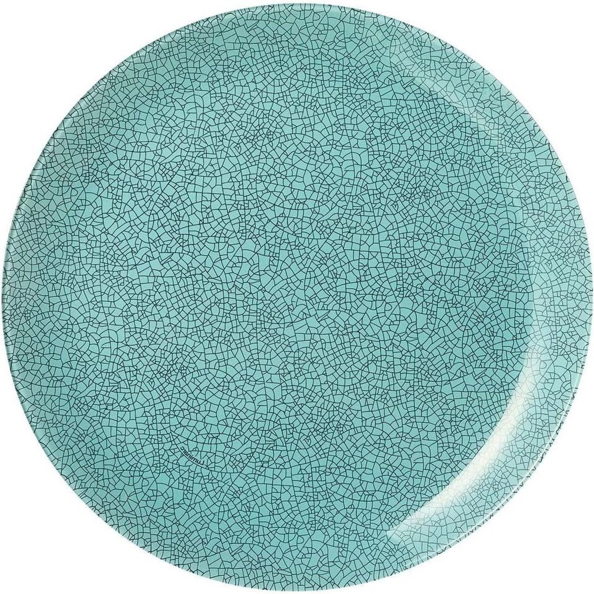 Dinerbord - Bord - Eten Serveren - Stevig Glas - 26 cm - Turquoise