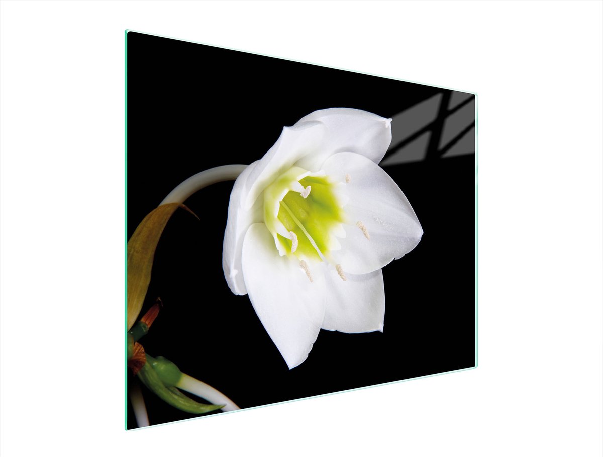 TMK ArtDeko - Snijplank - 52x40 cm - Glas - Orchidee Motief