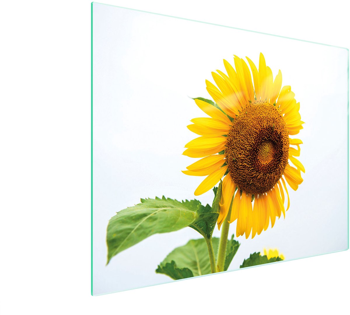 TMK ArtDeko Serie - Snijplank - 52x40 cm - Gehard Glas - Kleur Rijk