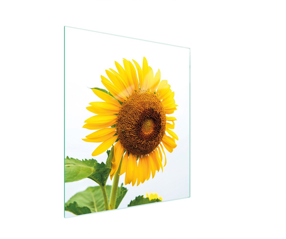 TMK ArtDeko Serie - Snijplank 45x52 cm - Glas - Kleur: Bloem