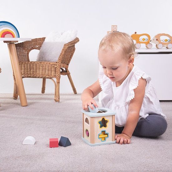 Houten Vormensorteerder van Little Dutch — afbeelding 4