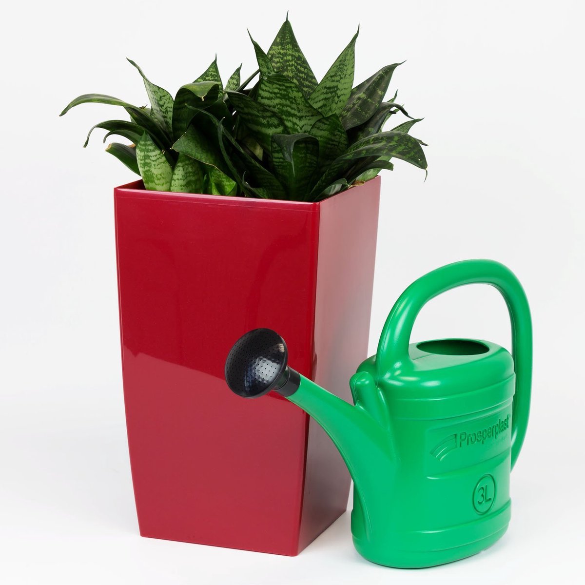 Gieter in kunststof groen - 3 L