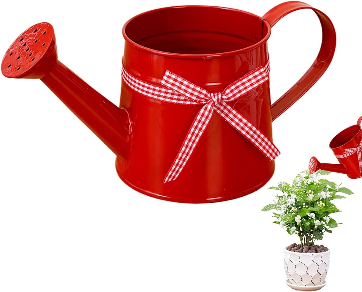 Metalen Gieter - Decoratieve Plantenpot - Planten Water Geven - Inclusief Douchekop - 1 Liter Inhoud - Zwart