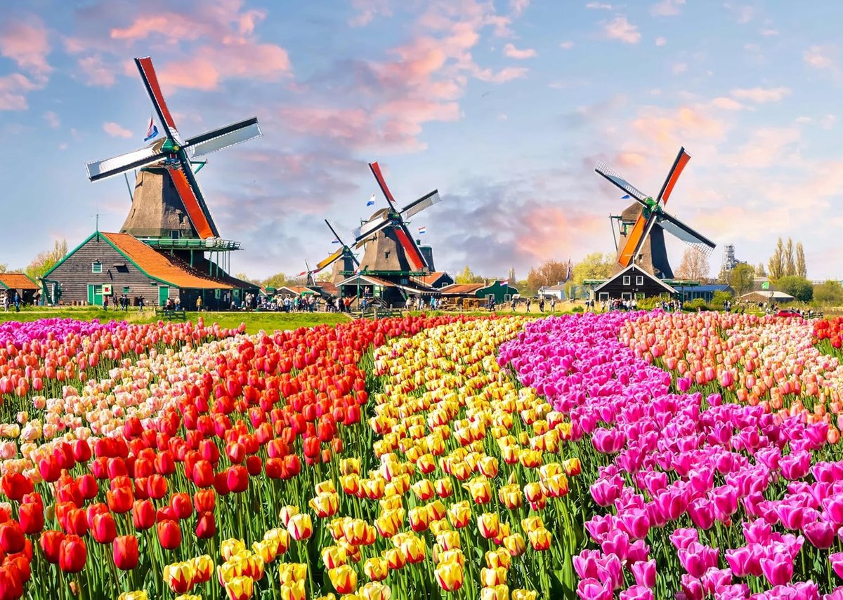 Legpuzzel - Educatief Spel - Ontspanning Stressvermindering - 1000 Stukjes Karton - 70x50 cm - Windmolen Tulp