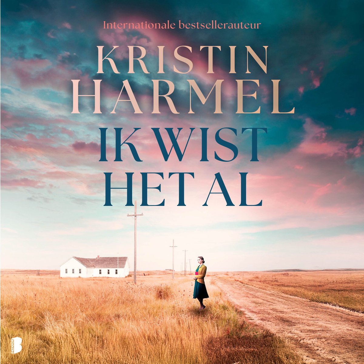 Omslag van Ik wist het al