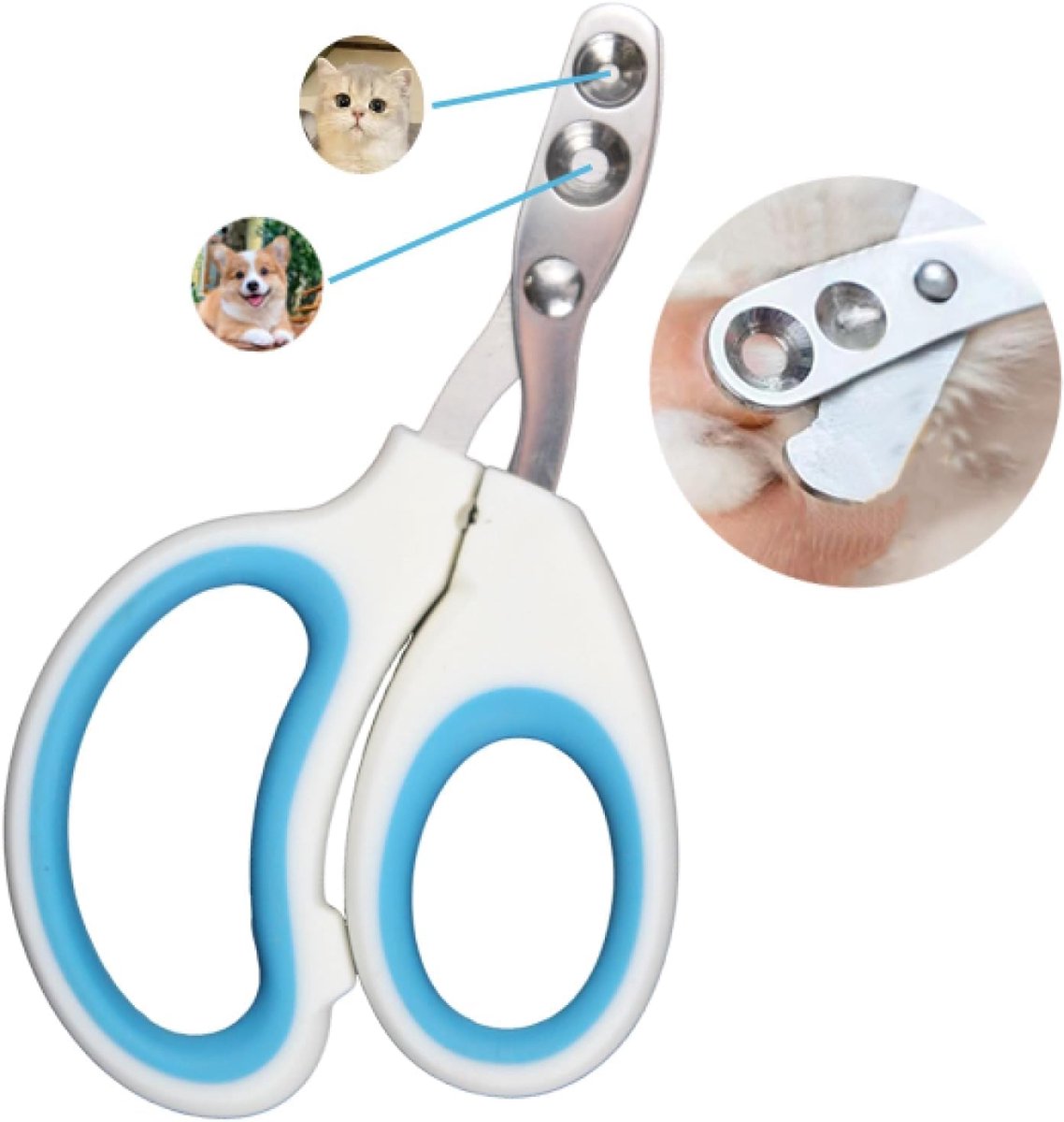 Killogood Nagelknipper voor katten - professionele dubbelzijdige nagelknipper voor kittens - konijnen - cavia's - puppy's en kleine tot middelgrote dieren (blauw).