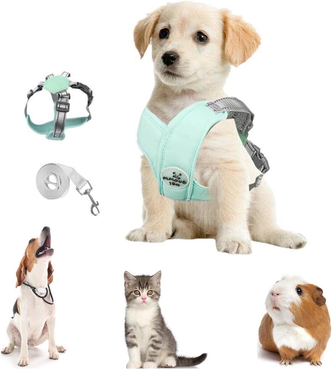 Verstelbare Traction Rope voor Kleine en Middelgrote Honden, Ademend Mesh Kussen, Reflecterend en Duurzaam voor Buitenwandelen en Training