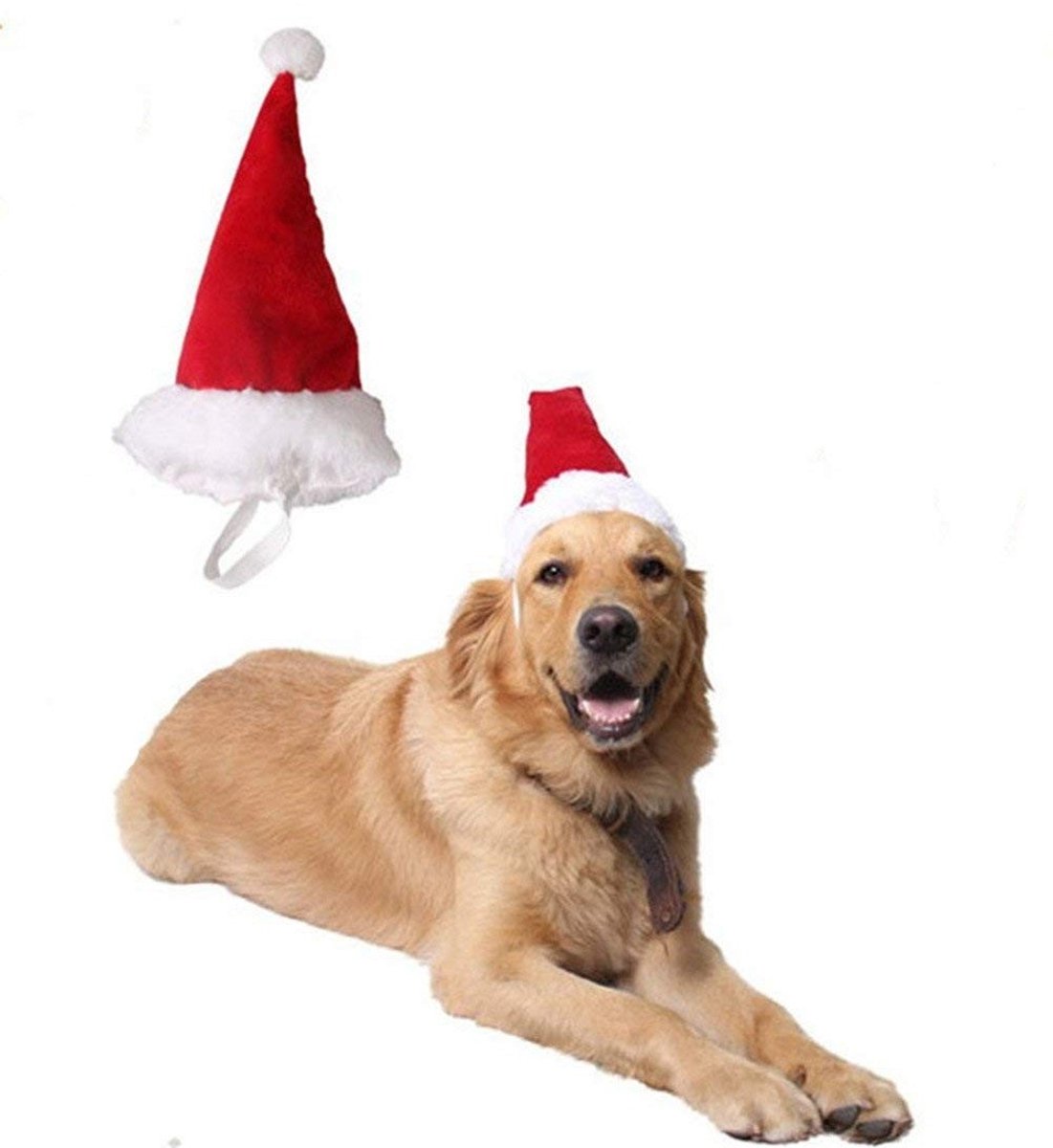 Allecto - Kerstkostuum voor Huisdieren - Kerstmuts voor Hond en Kat - Licht en Comfortabel - Huisdieren Cosplay - Geschikt voor Kleine en Middelgro...