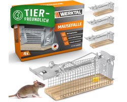 WERKTAL Levende, zeer gevoelige muizenval, set van 4, diervriendelijke Hygene muizenval met dubbele deur, eenvoudige aasbevestiging, herbruikbare rattenval
