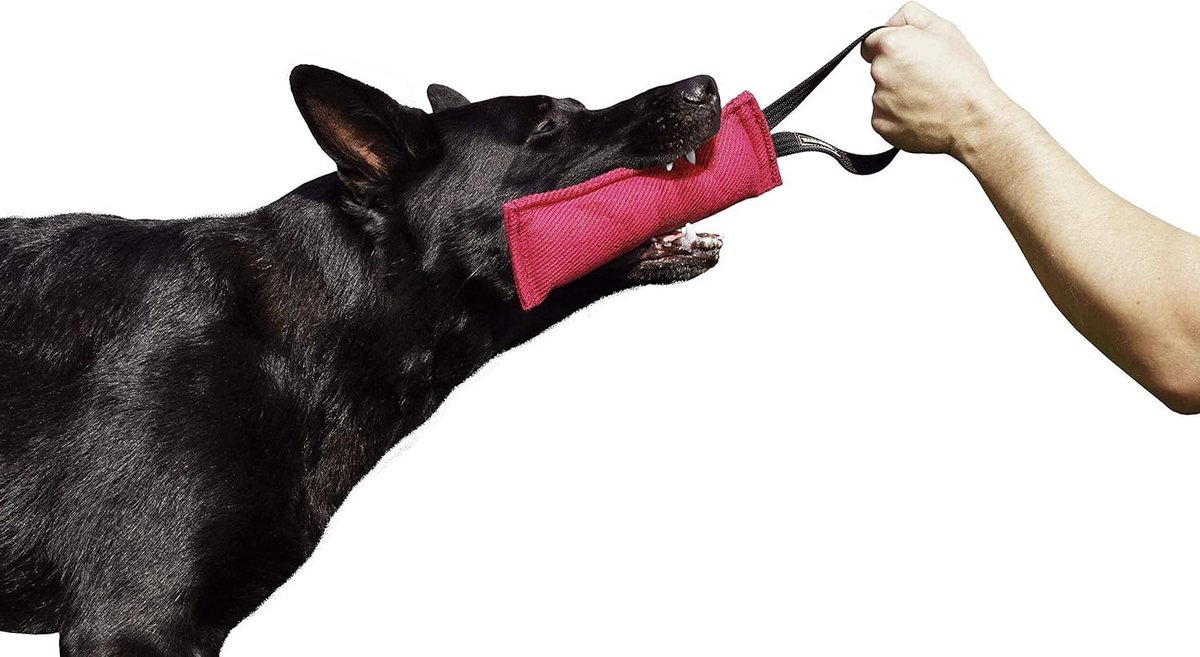 Honden Trainingsworst - Bijtspeelgoed - Hondentraining Spel - Handgemaakt Kwaliteit - 20 x 7 cm - Roze