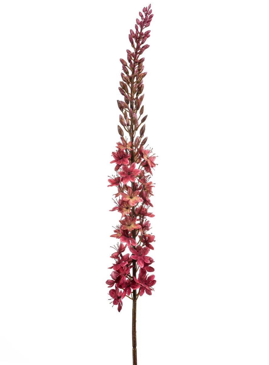 Eremurus Kunsttak Bruinrood - Levensechte Sier Tak - Jaarrond Decor